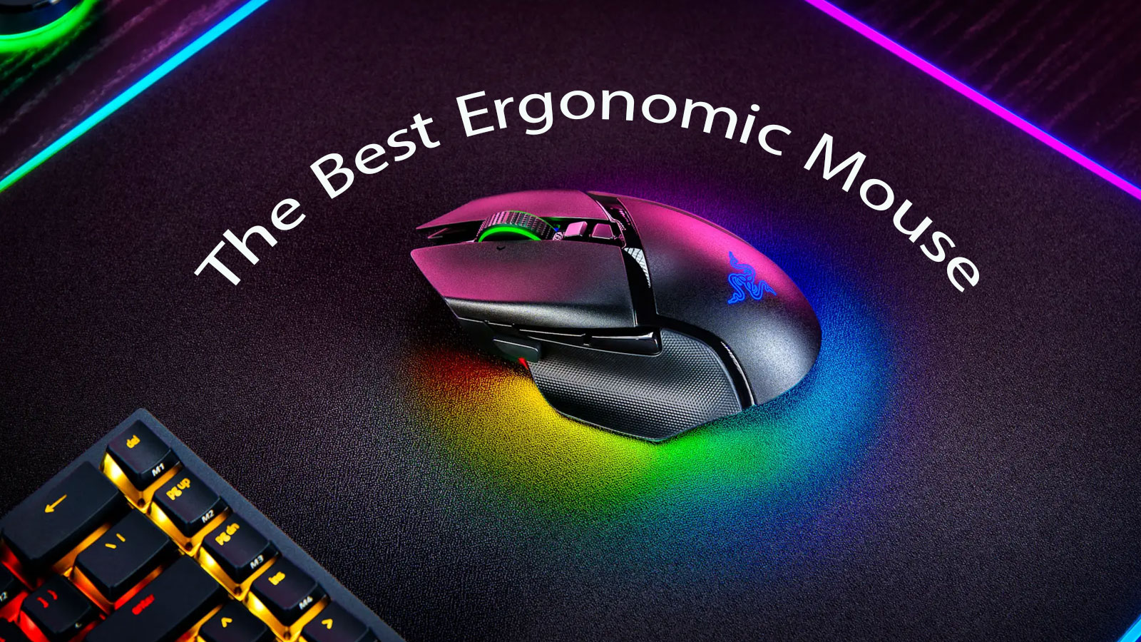 موس ارگونومیک